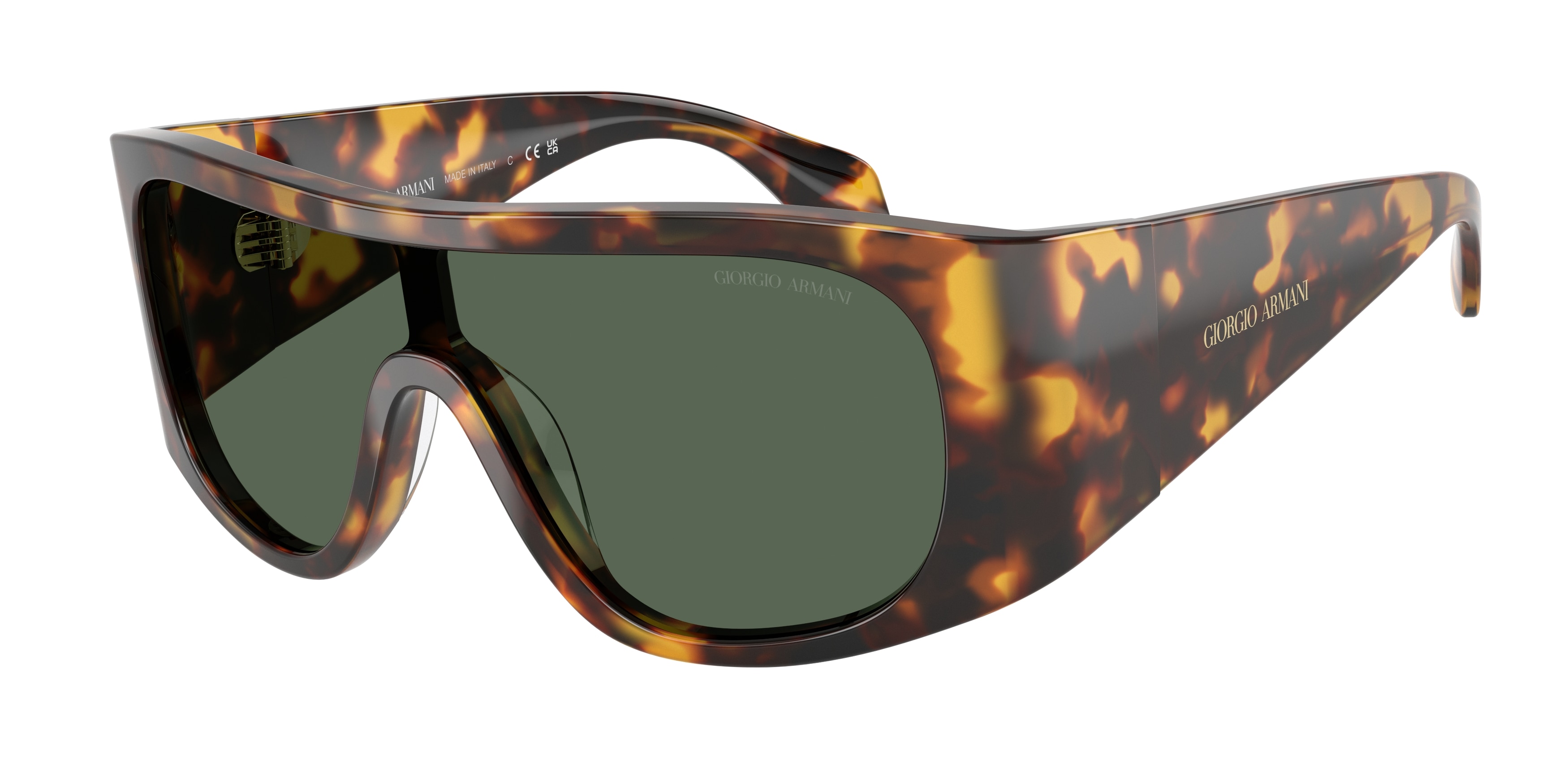 Giorgio Armani AR8222U 509271  